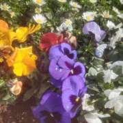 いちか 冬季オリンピック。 完熟ばなな西川口