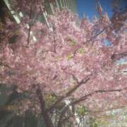 ヒメ日記 2026/03/11 13:03 投稿 いちか 完熟ばなな西川口