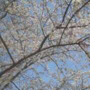 ヒメ日記 2026/04/02 14:13 投稿 いちか 完熟ばなな西川口