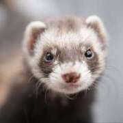 ヒメ日記 2024/12/29 11:05 投稿 綾子(あやこ) 恍惚大阪店