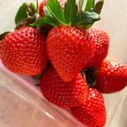 ヒメ日記 2025/02/06 16:15 投稿 綾子(あやこ) 恍惚大阪店