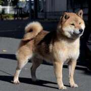 ヒメ日記 2025/02/18 16:35 投稿 綾子(あやこ) 恍惚大阪店