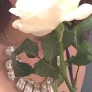 ヒメ日記 2026/03/04 13:05 投稿 綾子(あやこ) 恍惚大阪店