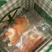 ヒメ日記 2026/03/19 08:25 投稿 綾子(あやこ) 恍惚大阪店