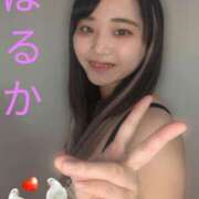 ヒメ日記 2025/03/13 01:22 投稿 はるか サンキュー町田・相模原店