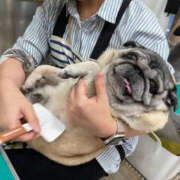 ヒメ日記 2024/12/29 11:13 投稿 翼ねお TSUBAKI（水戸）