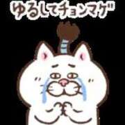 ヒメ日記 2025/05/29 05:25 投稿 翼ねお TSUBAKI（水戸）