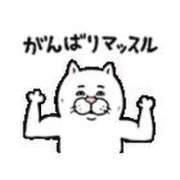 ヒメ日記 2025/07/14 01:11 投稿 翼ねお TSUBAKI（水戸）