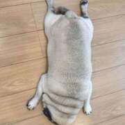 ヒメ日記 2025/09/21 18:39 投稿 翼ねお TSUBAKI（水戸）