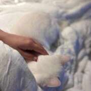 ヒメ日記 2025/10/05 22:33 投稿 ♪あみ♪ 水色りぼん