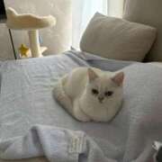 ヒメ日記 2025/10/26 08:53 投稿 ♪あみ♪ 水色りぼん