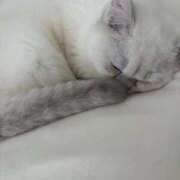 ♪あみ♪ ♡ 😭😭😭 ♡ 水色りぼん