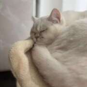 ♪あみ♪ ♡ こんばんは✨ ♡ 水色りぼん