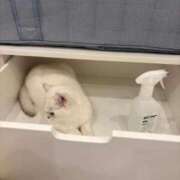 ♪あみ♪ ♡ 明日15時から ♡ 水色りぼん