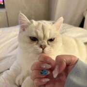 ヒメ日記 2026/01/22 22:43 投稿 ♪あみ♪ 水色りぼん