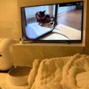 ♪あみ♪ ♡ 明日 ♡ 水色りぼん