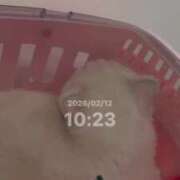 ♪あみ♪ ♡ 本日 ♡ 水色りぼん