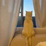 ♪あみ♪ ごめんなさい😭 水色りぼん