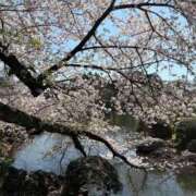 ヒメ日記 2026/04/03 17:53 投稿 ♪あみ♪ 水色りぼん