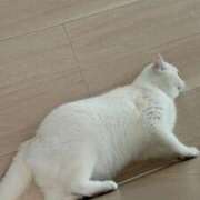ヒメ日記 2026/05/13 19:43 投稿 ♪あみ♪ 水色りぼん