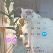 ♪あみ♪ ♡ 6月末 ♡ 水色りぼん