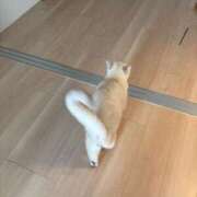 ヒメ日記 2026/08/25 16:43 投稿 ♪あみ♪ 水色りぼん