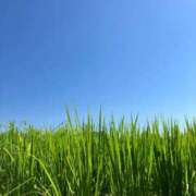 ヒメ日記 2025/08/11 07:31 投稿 ひとみ 千姫(道後)