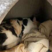 ヒメ日記 2025/09/17 20:00 投稿 ひとみ 千姫(道後)