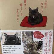 ヒメ日記 2025/09/24 06:39 投稿 ひとみ 千姫(道後)