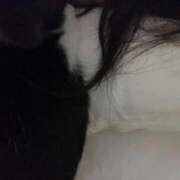 ヒメ日記 2025/10/13 06:48 投稿 ひとみ 千姫(道後)