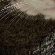 ヒメ日記 2025/10/21 06:19 投稿 ひとみ 千姫(道後)