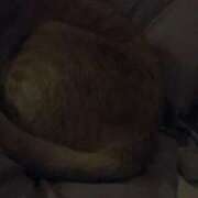 ヒメ日記 2025/10/21 22:33 投稿 ひとみ 千姫(道後)