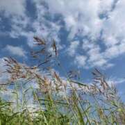 ヒメ日記 2025/10/28 07:20 投稿 ひとみ 千姫(道後)