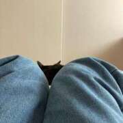 ヒメ日記 2025/11/05 12:00 投稿 ひとみ 千姫(道後)