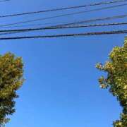 ヒメ日記 2025/11/10 17:30 投稿 ひとみ 千姫(道後)