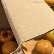 ヒメ日記 2025/11/11 21:38 投稿 ひとみ 千姫(道後)