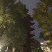 ヒメ日記 2025/11/13 10:59 投稿 ひとみ 千姫(道後)