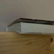 ヒメ日記 2025/11/14 07:00 投稿 ひとみ 千姫(道後)