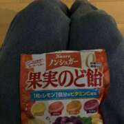 ヒメ日記 2025/11/15 07:01 投稿 ひとみ 千姫(道後)