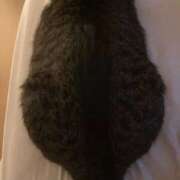 ヒメ日記 2025/11/16 06:30 投稿 ひとみ 千姫(道後)