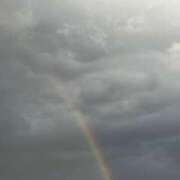 ヒメ日記 2025/11/18 06:36 投稿 ひとみ 千姫(道後)