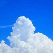 ヒメ日記 2025/11/19 06:06 投稿 ひとみ 千姫(道後)