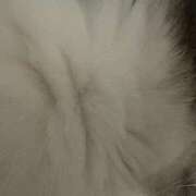 ヒメ日記 2025/11/30 06:41 投稿 ひとみ 千姫(道後)