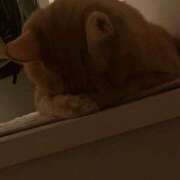 ヒメ日記 2025/11/30 21:57 投稿 ひとみ 千姫(道後)