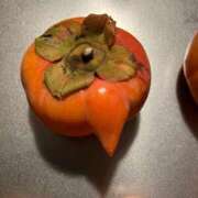 ヒメ日記 2025/12/03 08:15 投稿 ひとみ 千姫(道後)