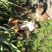 ヒメ日記 2025/12/08 06:35 投稿 ひとみ 千姫(道後)