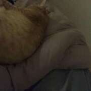 ヒメ日記 2025/12/08 22:55 投稿 ひとみ 千姫(道後)