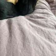 ヒメ日記 2025/12/10 11:09 投稿 ひとみ 千姫(道後)