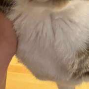 ヒメ日記 2025/12/16 06:55 投稿 ひとみ 千姫(道後)