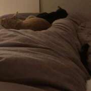 ヒメ日記 2025/12/16 21:33 投稿 ひとみ 千姫(道後)